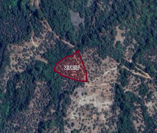 İZMİR BAYINDIR HİSARLIK KÖYÜNDE 3.522 M² ZEYTİNLİK SATILIKTIR. - İZMİR BAYINDIR fotoğraf 3